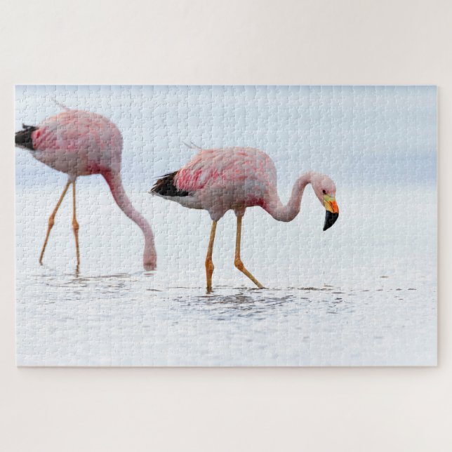 Selten Schöner andanischer Flamingo Pink Bird Chil Puzzle (Horizontal)