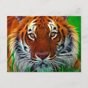 Selten Sumatran Tiger aus Indonesien Postkarte