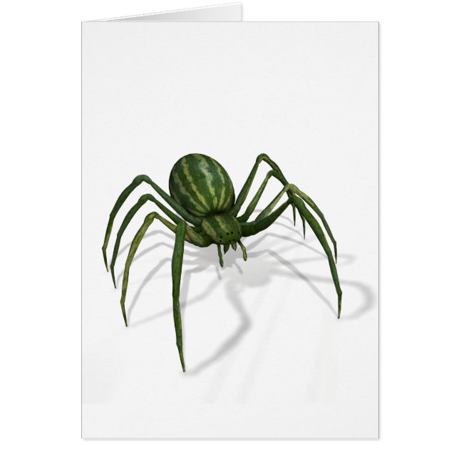 Selten Watermelon Spider (Vorne)