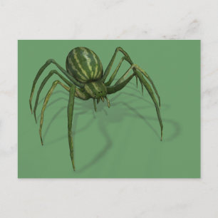 Selten Watermelon Spider Postkarte