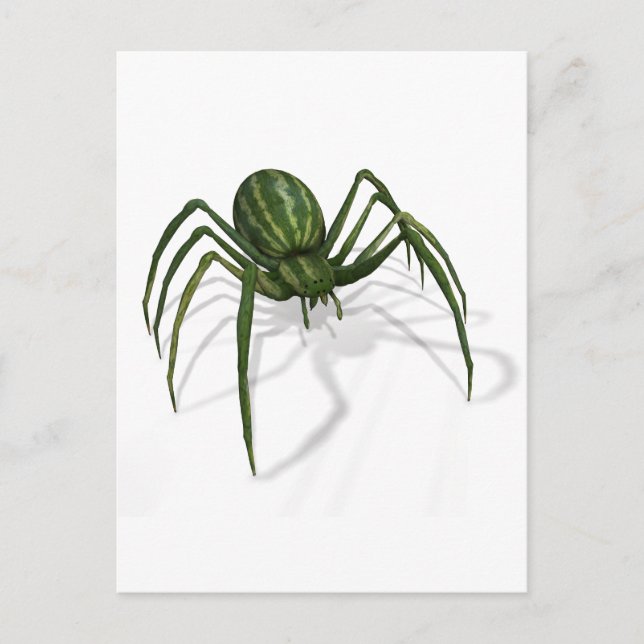 Selten Watermelon Spider Postkarte (Vorderseite)