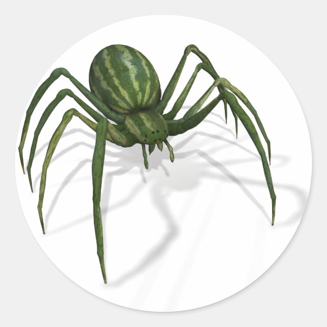 Selten Watermelon Spider Runder Aufkleber (Vorderseite)