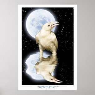 Selten WHITE RAVEN Fantasy Art Poster