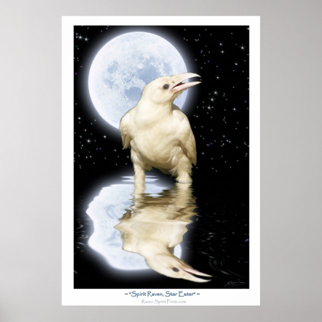 Selten WHITE RAVEN Fantasy Art Poster (Vorne)