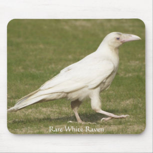 Selten White Raven Mousepad
