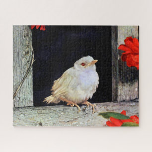 Seltene Albino-Rotbarbe Puzzle