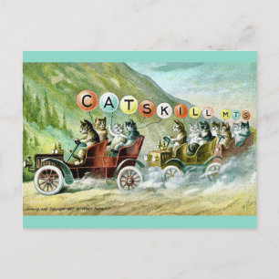 Seltene Katzen Postkarte