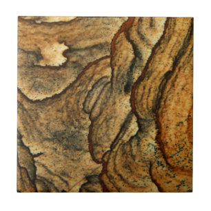 Seltene Landschaftsjasper-Makrofotografie Fliese