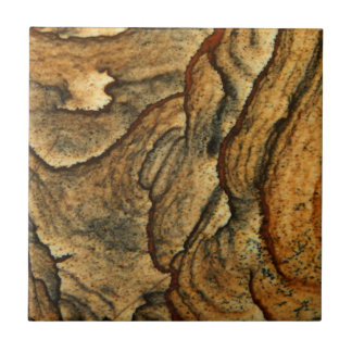 Seltene Landschaftsjasper-Makrofotografie Fliese