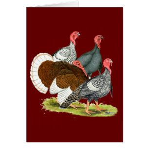 Seltene Türkei Quartett