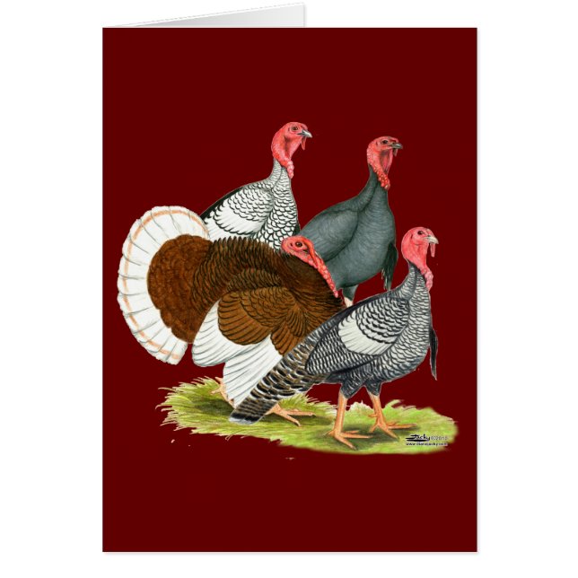 Seltene Türkei Quartett (Vorne)