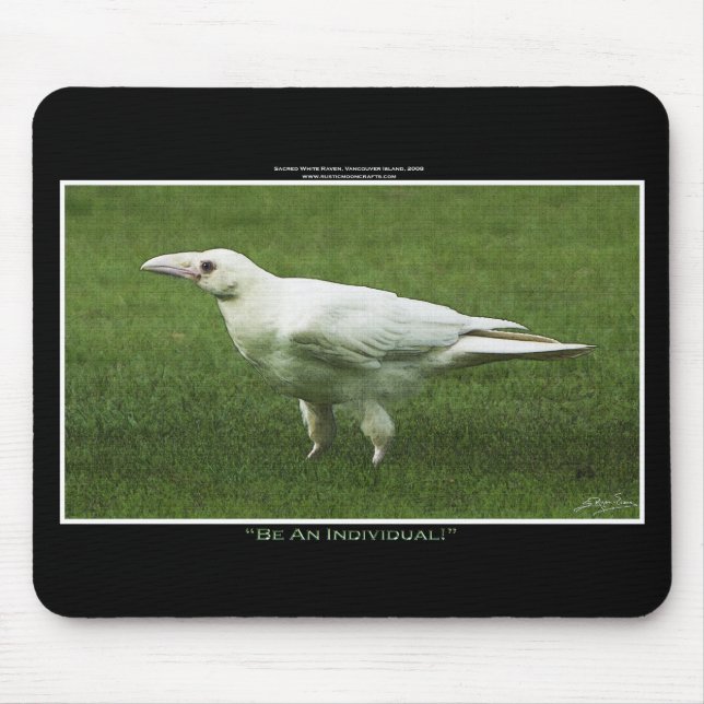 Seltene weiße Raven-Wildlife-Fotografie Mousepad (Vorne)
