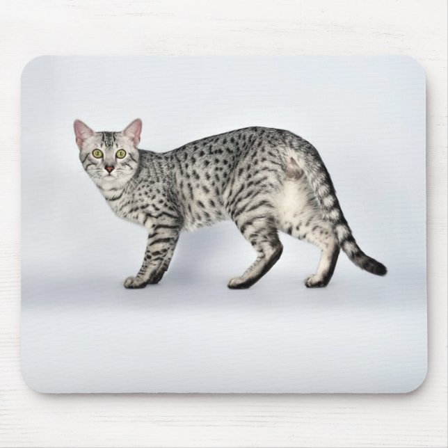 Seltener ägyptischer Mau-Katze Mousepad (Vorne)