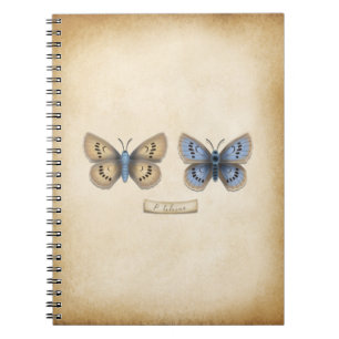 Seltener Großer Blauer Schmetterling im Vintage-St Notizblock
