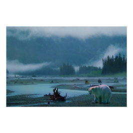 Seltener Kermode Bär (Geistbär) und Misty River Poster