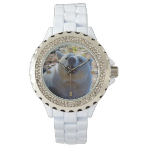 Seltener Kermode-Bär (Geistbär) Wildlife-Foto Armbanduhr