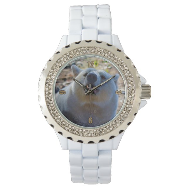 Seltener Kermode-Bär (Geistbär) Wildlife-Foto Armbanduhr (Vorderseite)