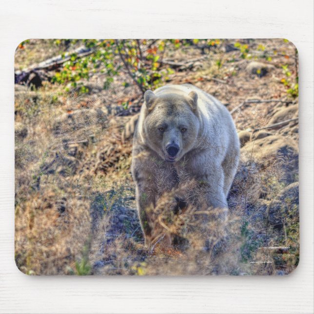 Seltener Kermode-Bär (Geistbär) Wildlife-Foto Mousepad (Vorne)