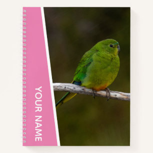Seltener Orange-bellied Parrot Vogel Australien, R Notizbuch