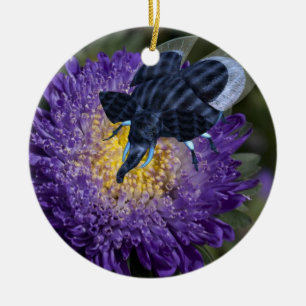 Seltenes Blue Elephant Bug Keramikornament