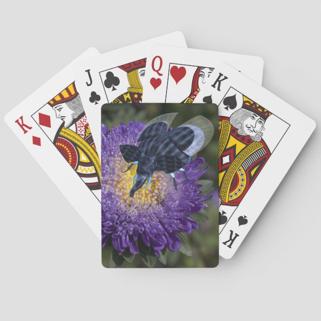 Seltenes Blue Elephant Bug Spielkarten (Rückseite)