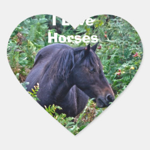 Seltenes Schwarzes Neuwald Pony - Wildes Pferd - E Herz-Aufkleber