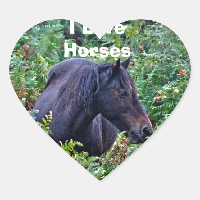 Seltenes Schwarzes Neuwald Pony - Wildes Pferd - E Herz-Aufkleber (Vorderseite)