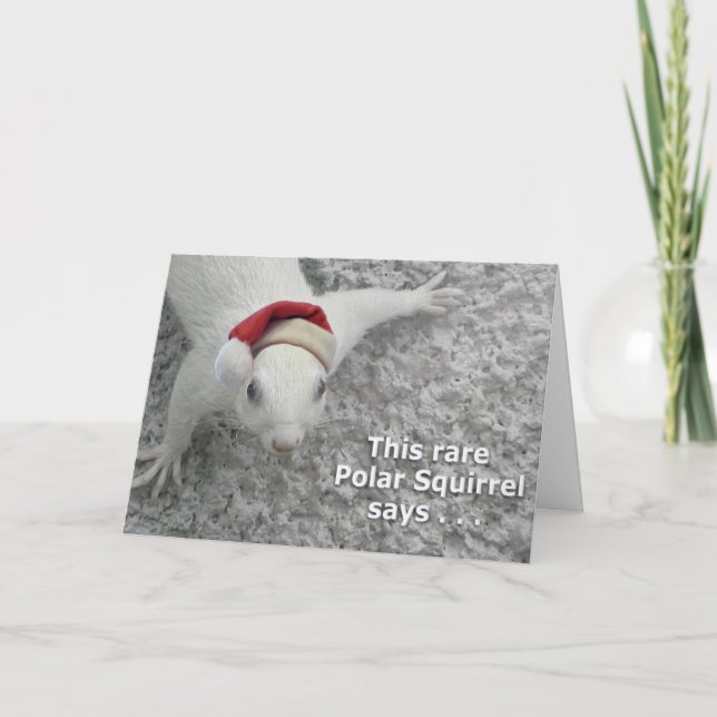 Seltenes Weihnachtshörnchen Feiertagskarte (Vorderseite)
