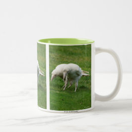 Seltenes White Raven Wildlife Foto Zweifarbige Tasse