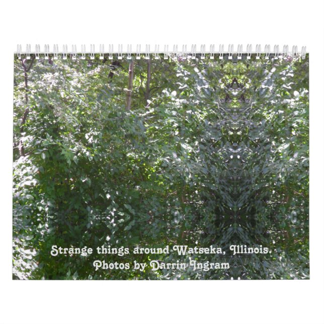 Seltsame Dinge rund um Watseka, Illinois Kalender (Titelbild)