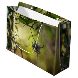 Seltsame Pflanze Große Geschenktüte