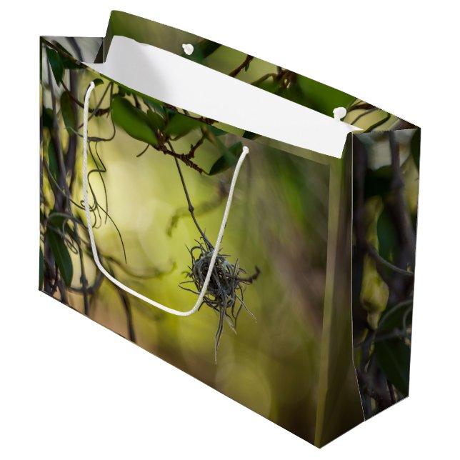 Seltsame Pflanze Große Geschenktüte (Vorderseite Schrägansicht)