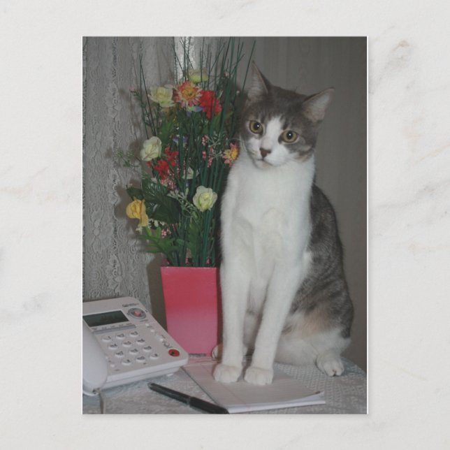 Seltsame Stimmen Postkarte (Vorderseite)