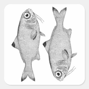 Seltsame Vintage Fische zeichnend Quadratischer Aufkleber