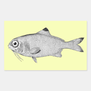 Seltsame Vintage-Fischzeichnung Rechteckiger Aufkleber