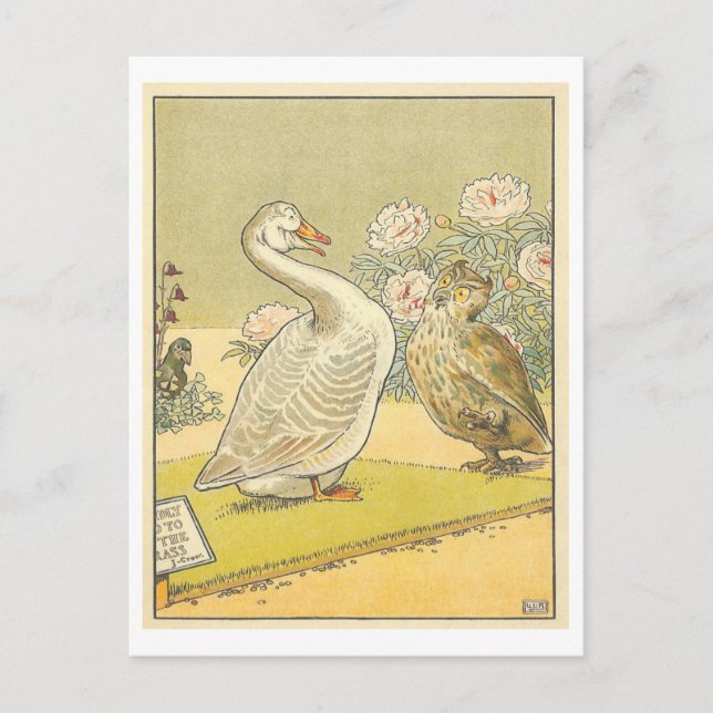 Seltsame Vintage Illustration mit Gänse und Eule Postkarte (Vorderseite)