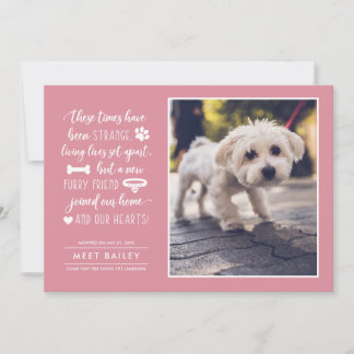 Seltsame Zeiten Ankündigung eines neuen Fotos für 