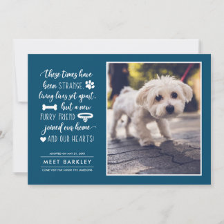 Seltsame Zeiten Ankündigung eines neuen Fotos für 