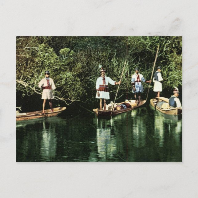 Seminare in Florida Postkarte (Vorderseite)