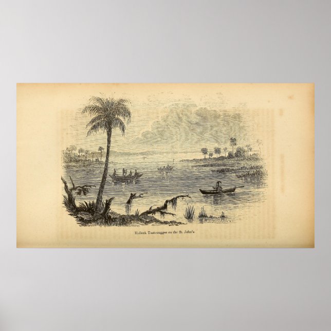 Seminolen am St. Johns River Poster (Vorne)