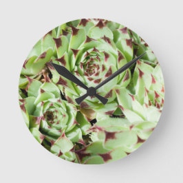 Sempervivum Runde Wanduhr