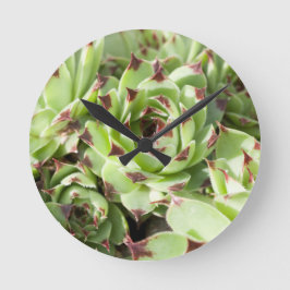 Sempervivum Runde Wanduhr