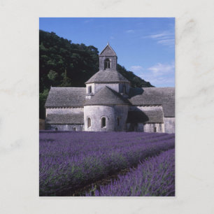 Senanque Abbey, Gordes, Vaucluse, Provence, 2 Postkarte
