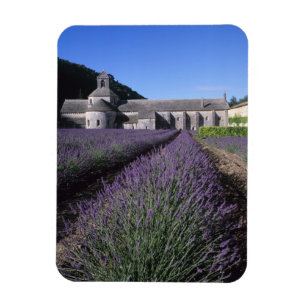 Senanque Abbey, Gordes, Vaucluse, Provence, Magnet