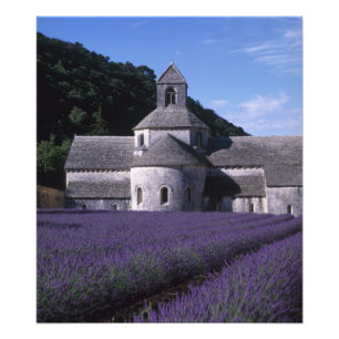 Senanque-Abtei, Gordes, Vaucluse, Provence, 2 Fotodruck
