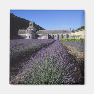 Senanque Abtei, Gordes, Vaucluse, Provence, Magnet