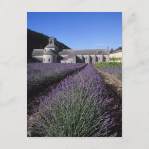 Senanque-Abtei, Gordes, Vaucluse, Provence, Postkarte