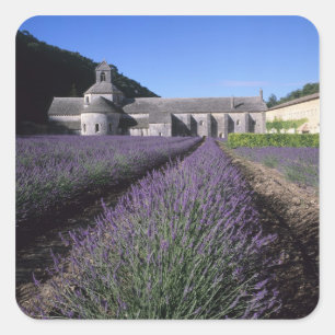 Senanque-Abtei, Gordes, Vaucluse, Provence, Quadratischer Aufkleber