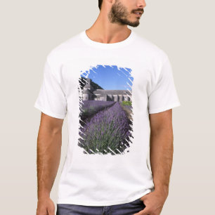 Senanque-Abtei, Gordes, Vaucluse, Provence, T-Shirt