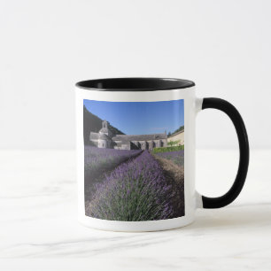 Senanque-Abtei, Gordes, Vaucluse, Provence, Tasse